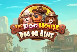 The Dog House: Dog or Alive